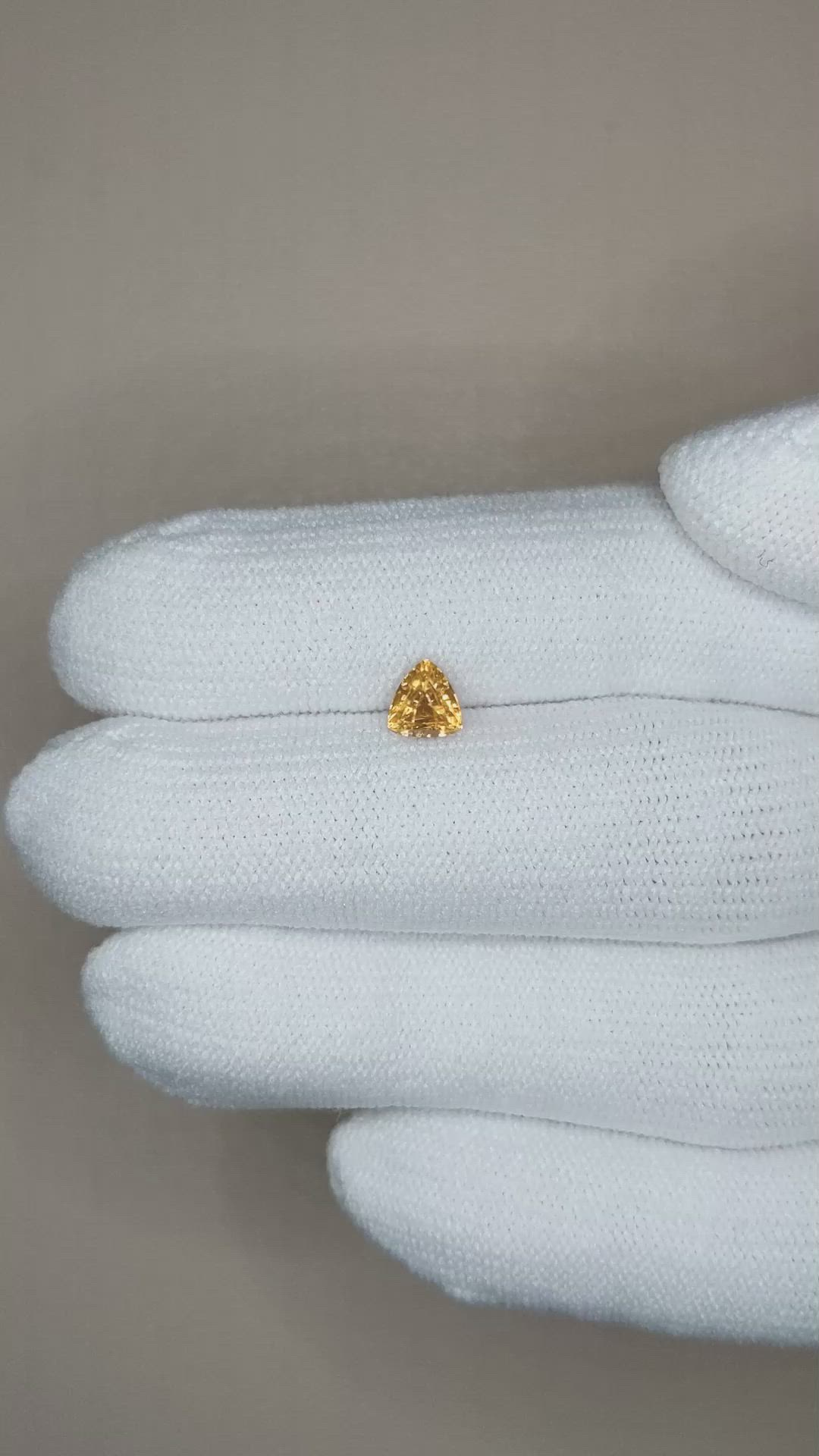 0.69 Ct. Zircon from Ceylon (Sri Lanka) Size Video