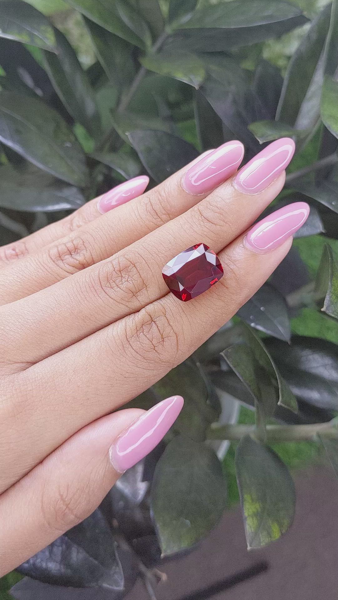 13.70 Ct. Garnet from Tanzania Size Video
