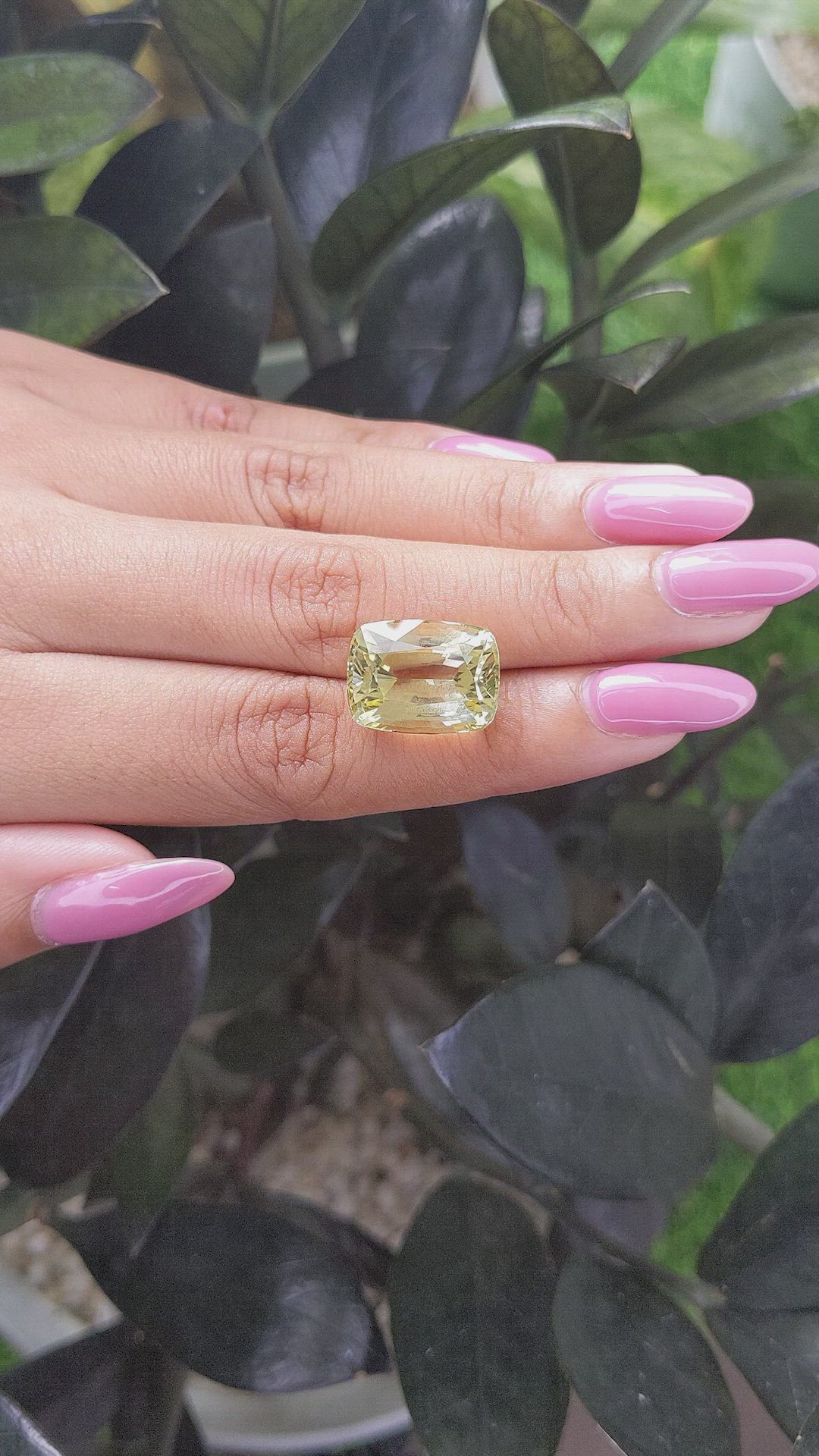 12.73 Ct. Beryl from Madagascar Size Video