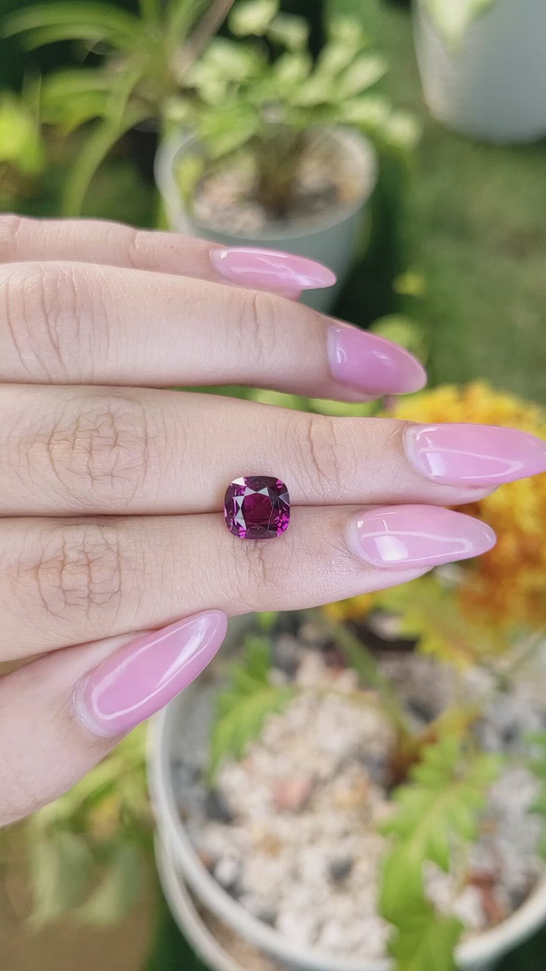 3.39 Ct. Rhodolite Garnet from Ceylon (Sri Lanka) Size Video