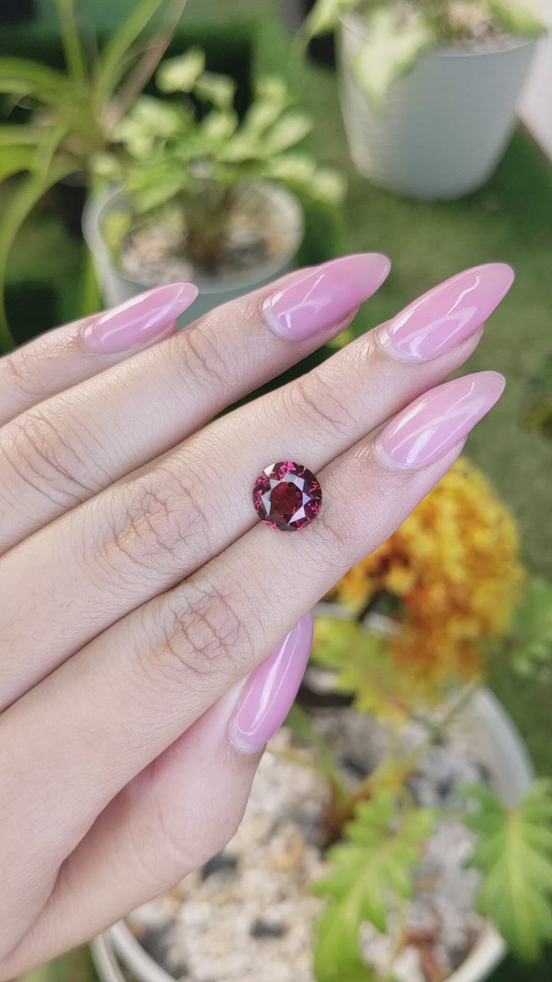 3.47 Ct. Rhodolite Garnet from Ceylon (Sri Lanka) Size Video