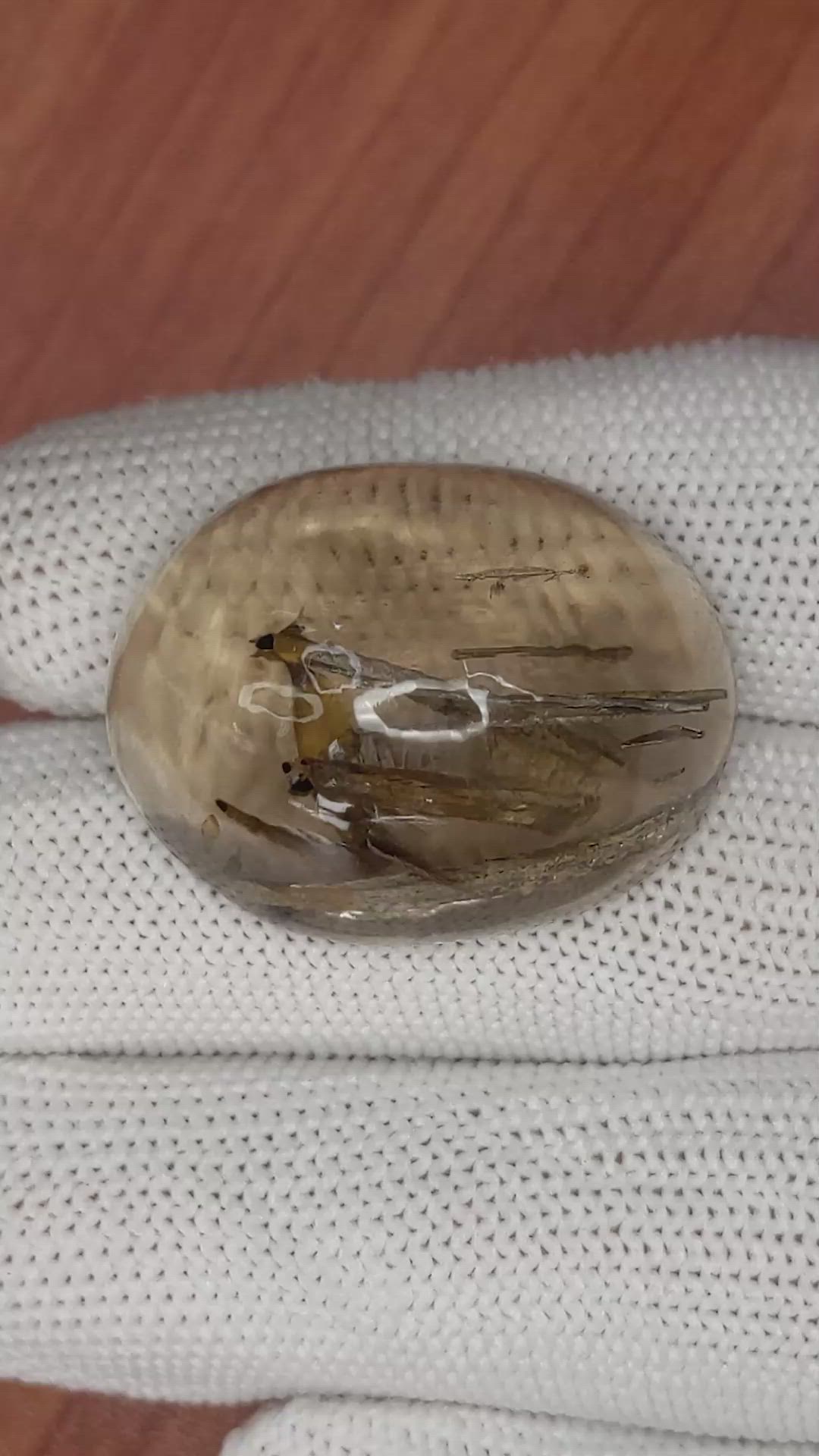 64.06 Ct. Cabochon Rutilated Quartz from Ceylon (Sri Lanka) Size Video