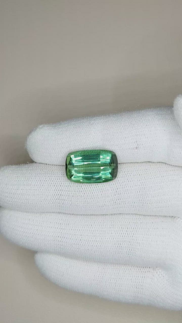 10.89 Ct. Tourmaline from Mozambique Size Video
