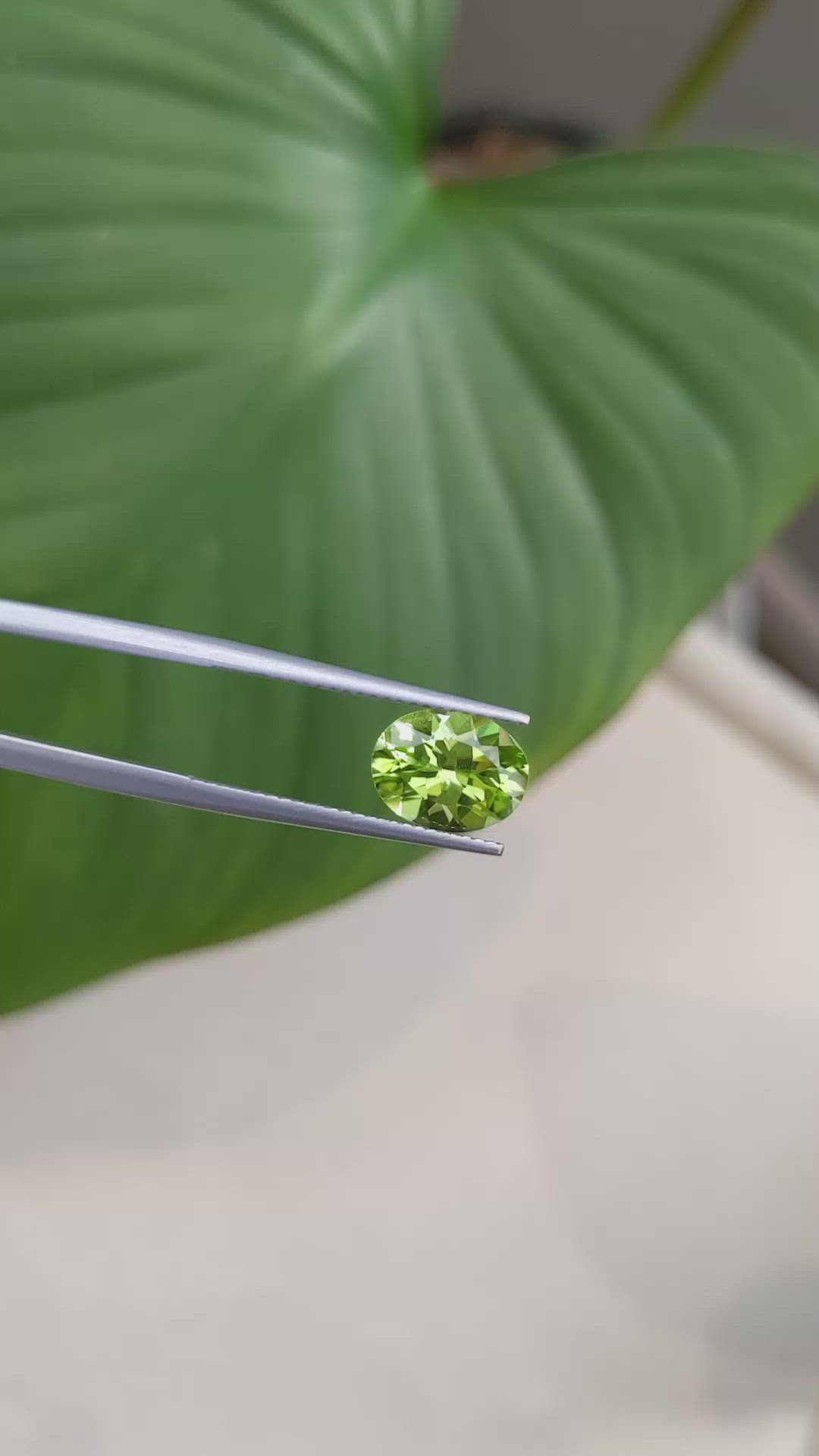 2.52 Ct. Peridot from Burma (Myanmar) Size Video