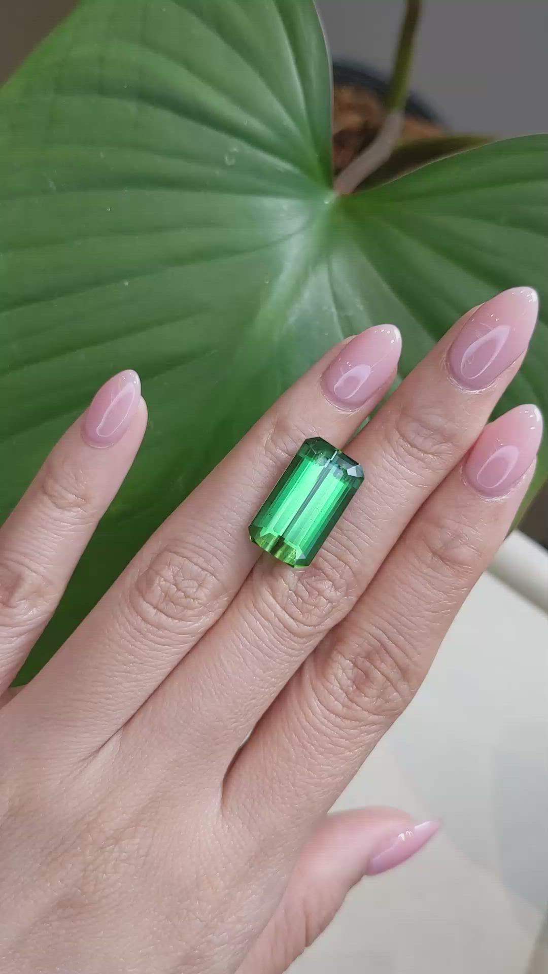 13.06 Ct. Tourmaline from Mozambique Size Video