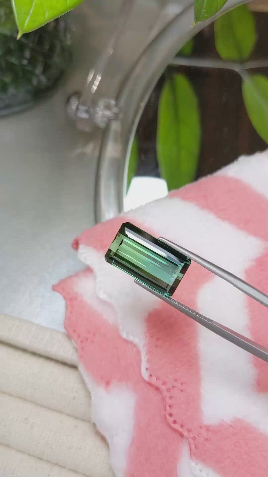 14.80 Ct. Tourmaline from Mozambique Size Video