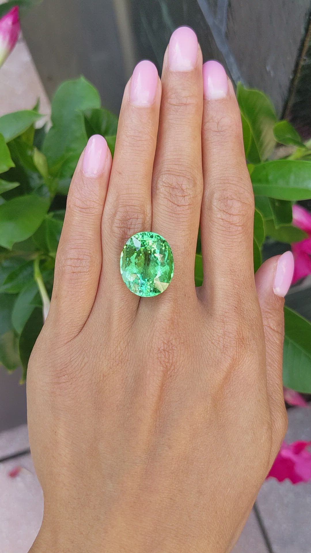 23.61 Ct. Tourmaline from Brazil Size Video