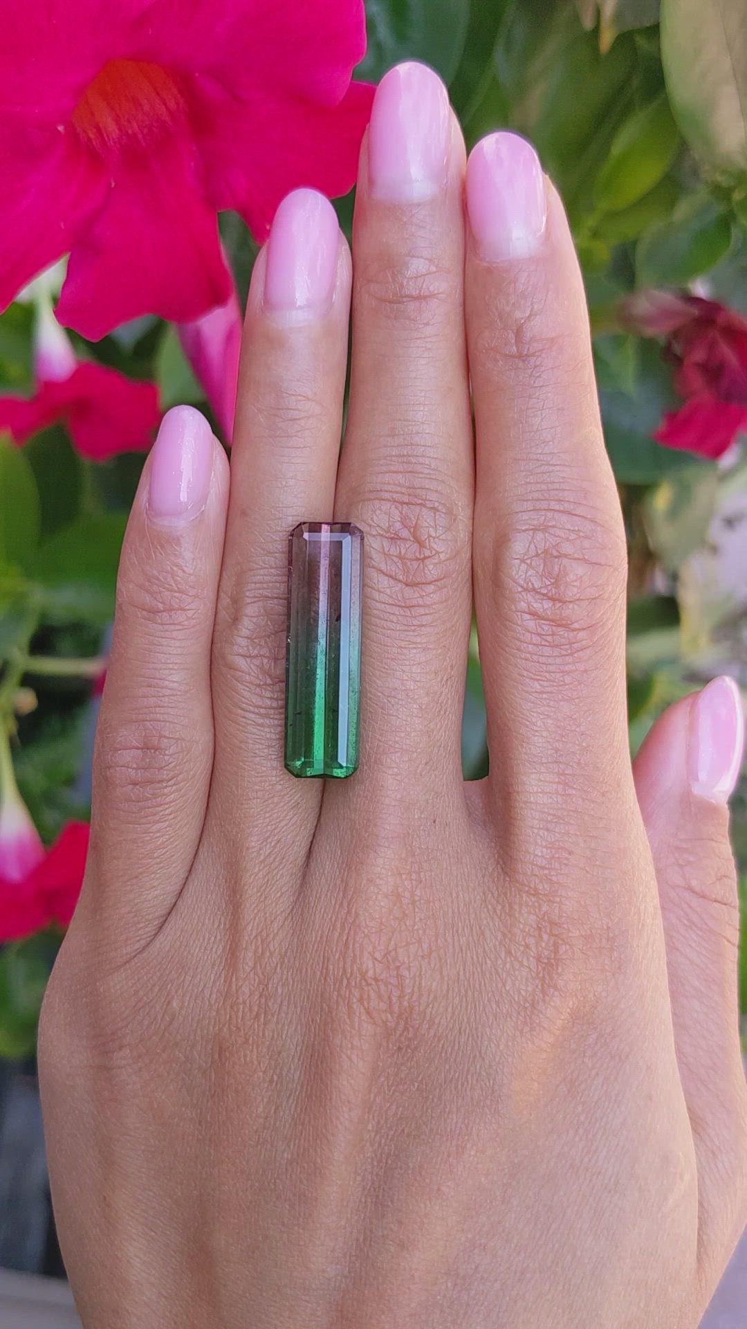 15.45 Ct. Tourmaline from Brazil Size Video