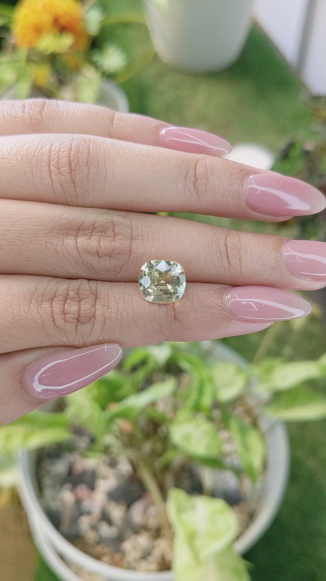 3.67 Ct. Chrysoberyl from Ceylon (Sri Lanka) Size Video