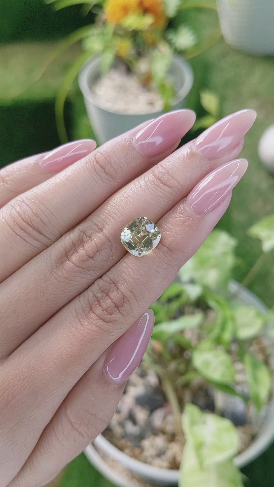 3.67 Ct. Chrysoberyl from Ceylon (Sri Lanka) Size Video