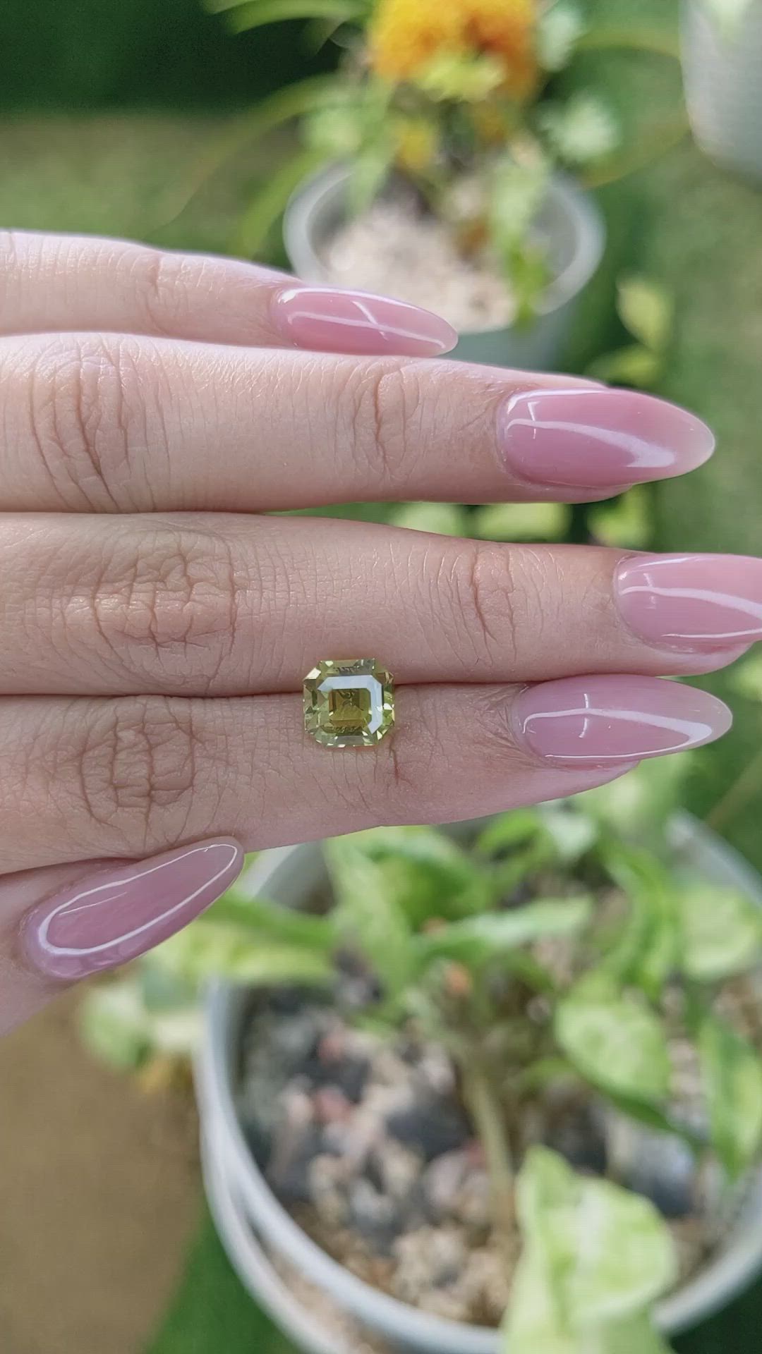 3.03 Ct. Chrysoberyl from Ceylon (Sri Lanka) Size Video