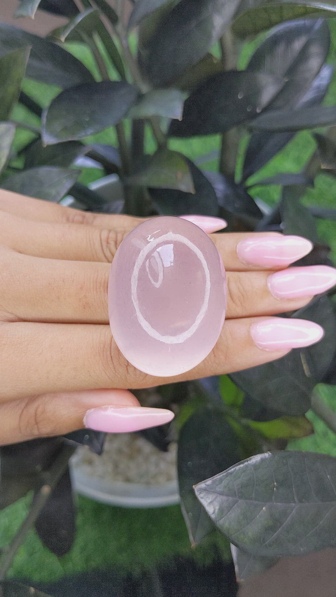 233.00 Ct. Cabochon Rose Quartz from Ceylon (Sri Lanka) Size Video