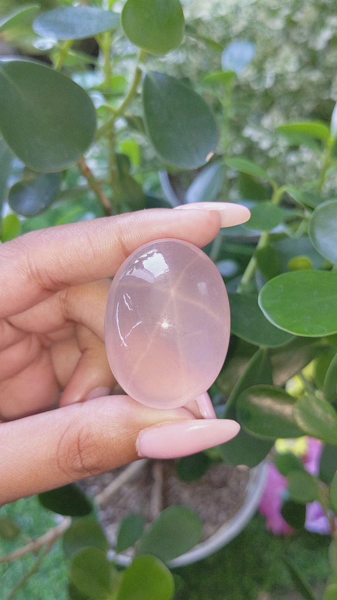 233.00 Ct. Cabochon Rose Quartz from Ceylon (Sri Lanka) Size Video