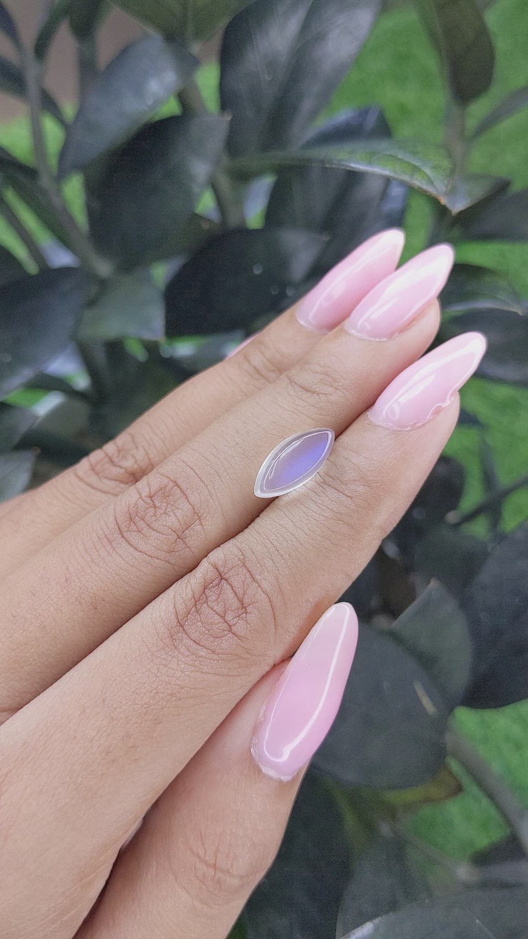 2.62 Ct. Cabochon Moonstone from Ceylon (Sri Lanka) Size Video