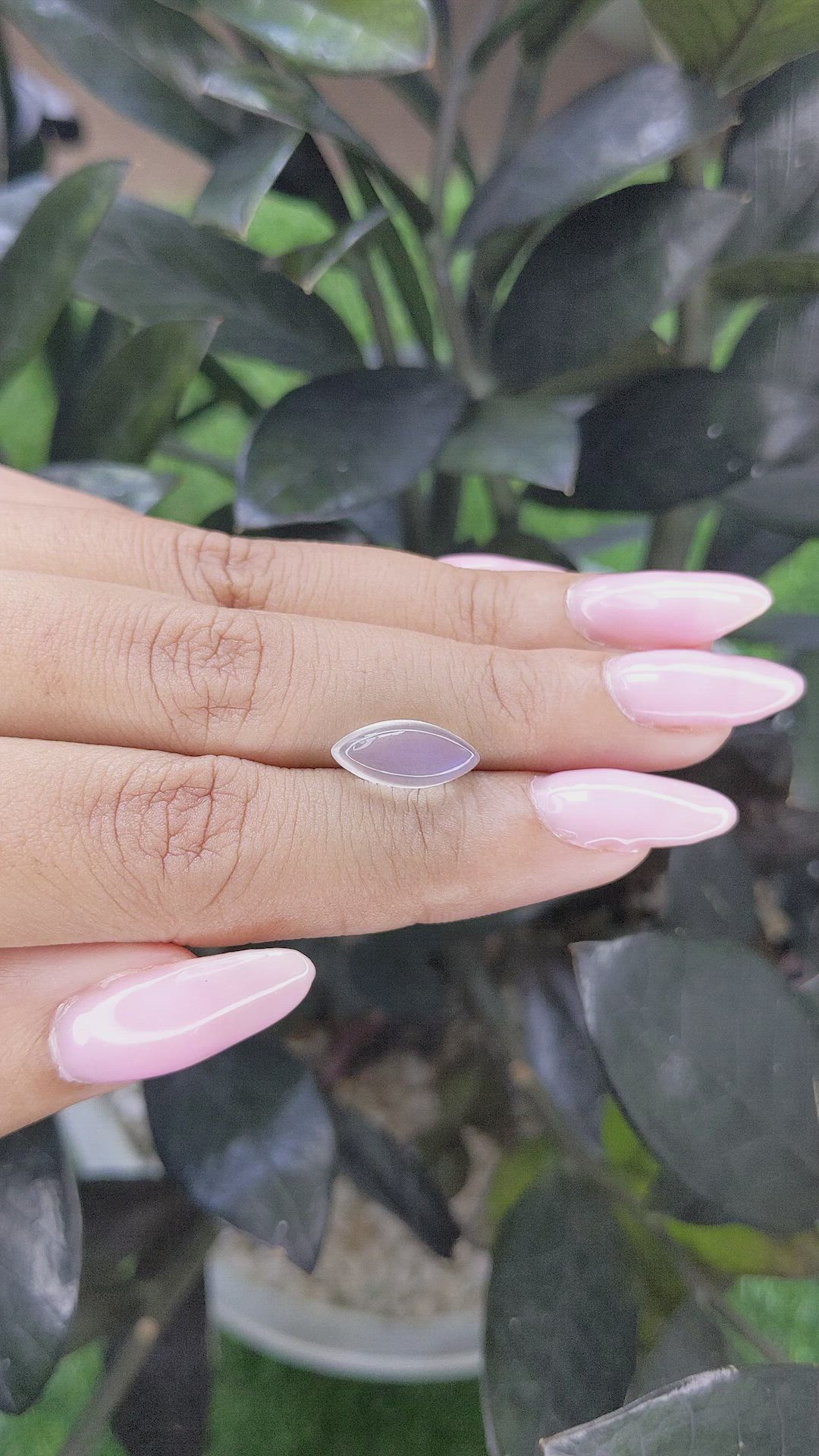 2.62 Ct. Cabochon Moonstone from Ceylon (Sri Lanka) Size Video