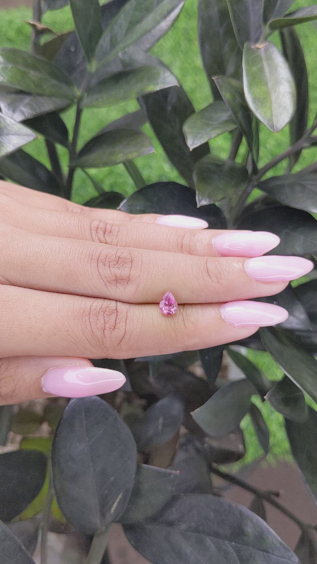 0.75 Ct. Tourmaline from Ceylon (Sri Lanka) Size Video