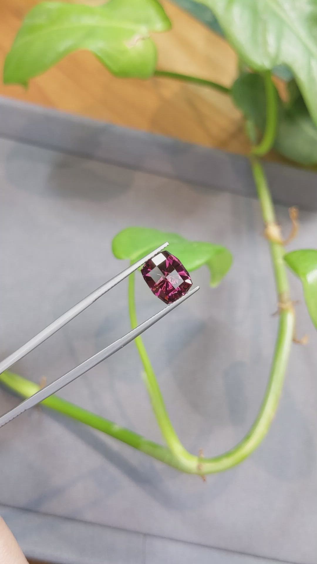5.09 Ct. Garnet from Tanzania Size Video
