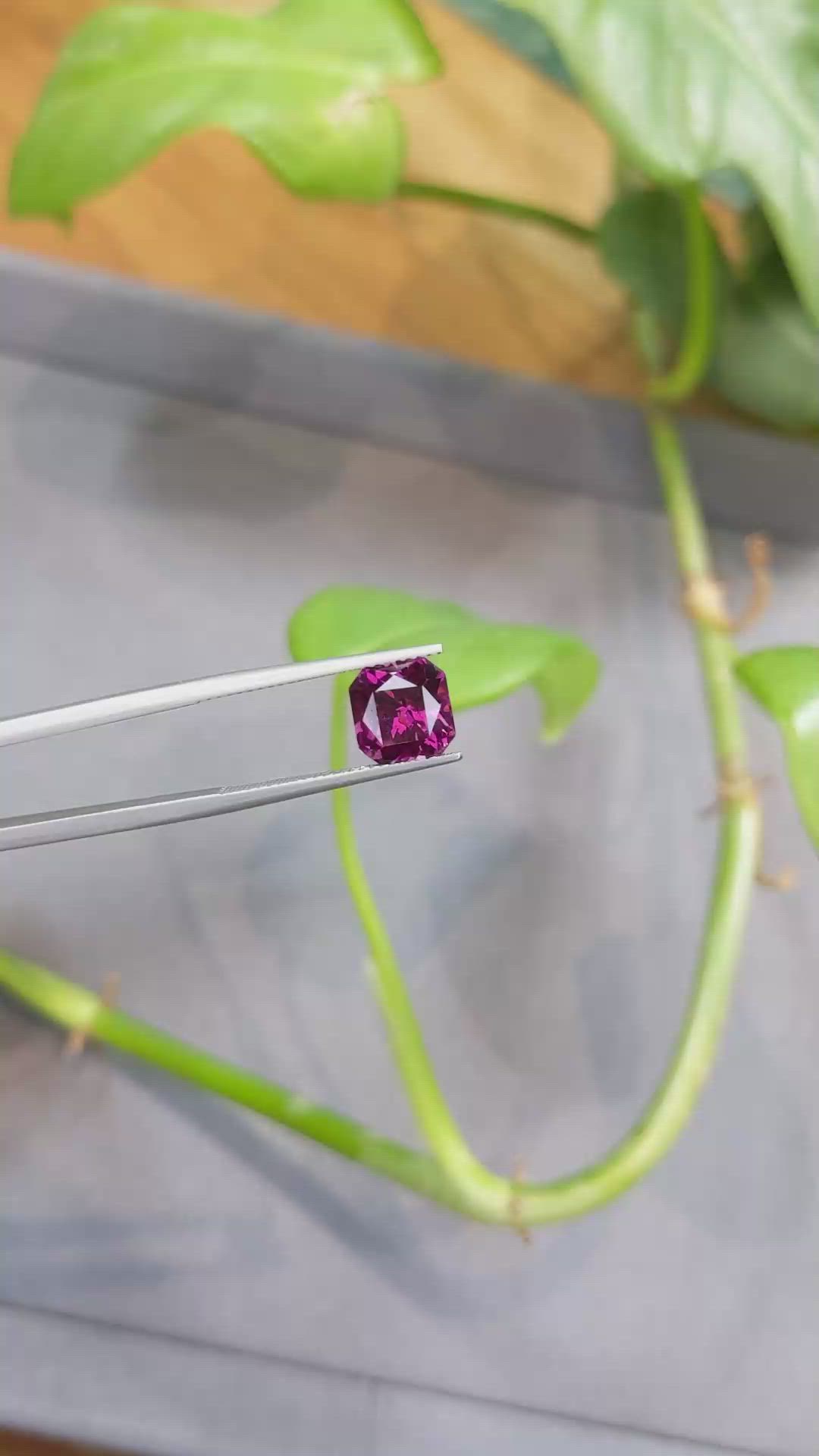 3.46 Ct. Garnet from Tanzania Size Video