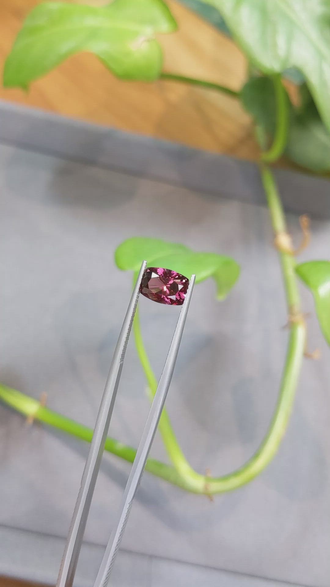 2.77 Ct. Garnet from Tanzania Size Video