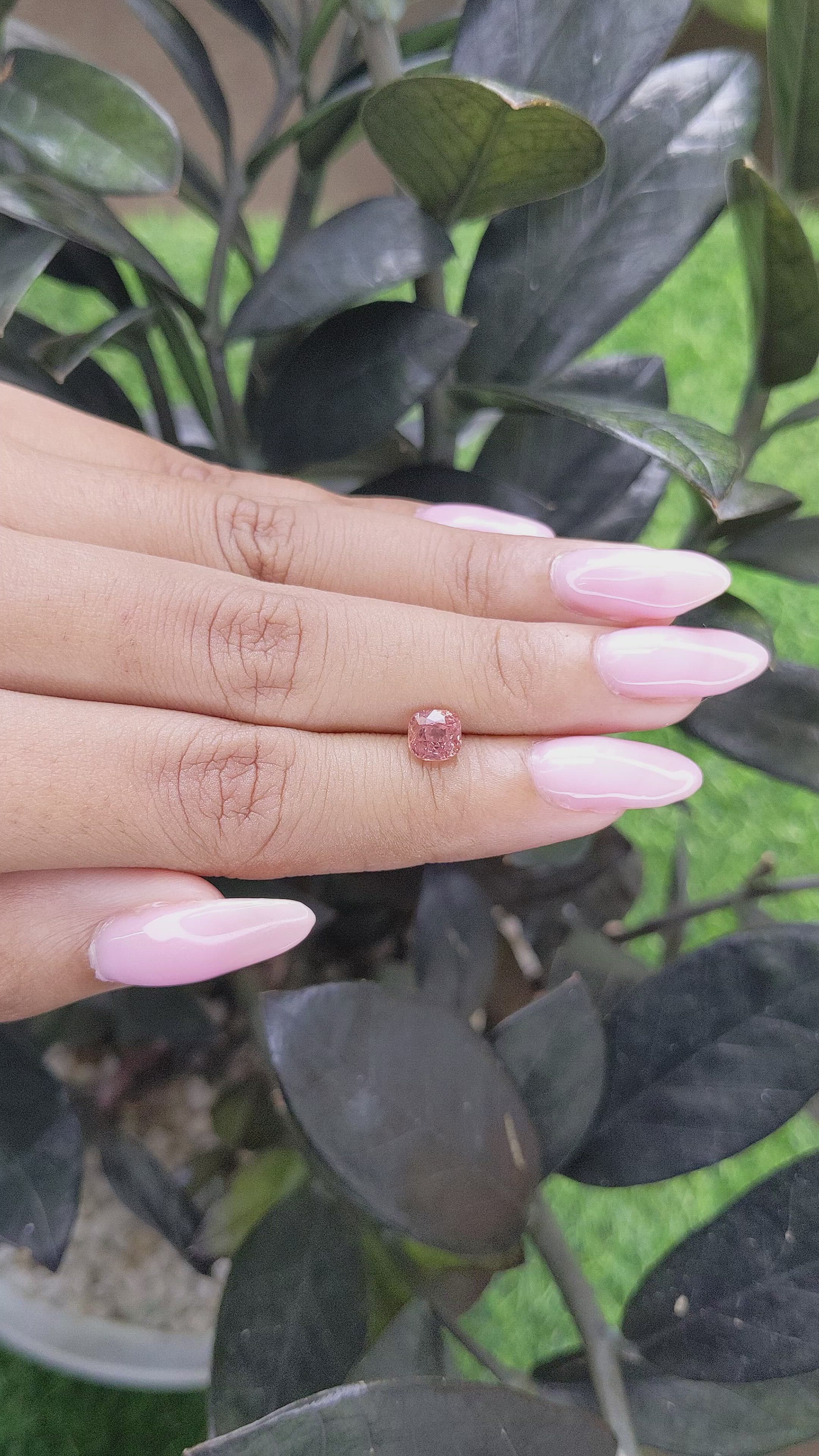1.15 Ct. Spinel from Burma (Myanmar) Size Video