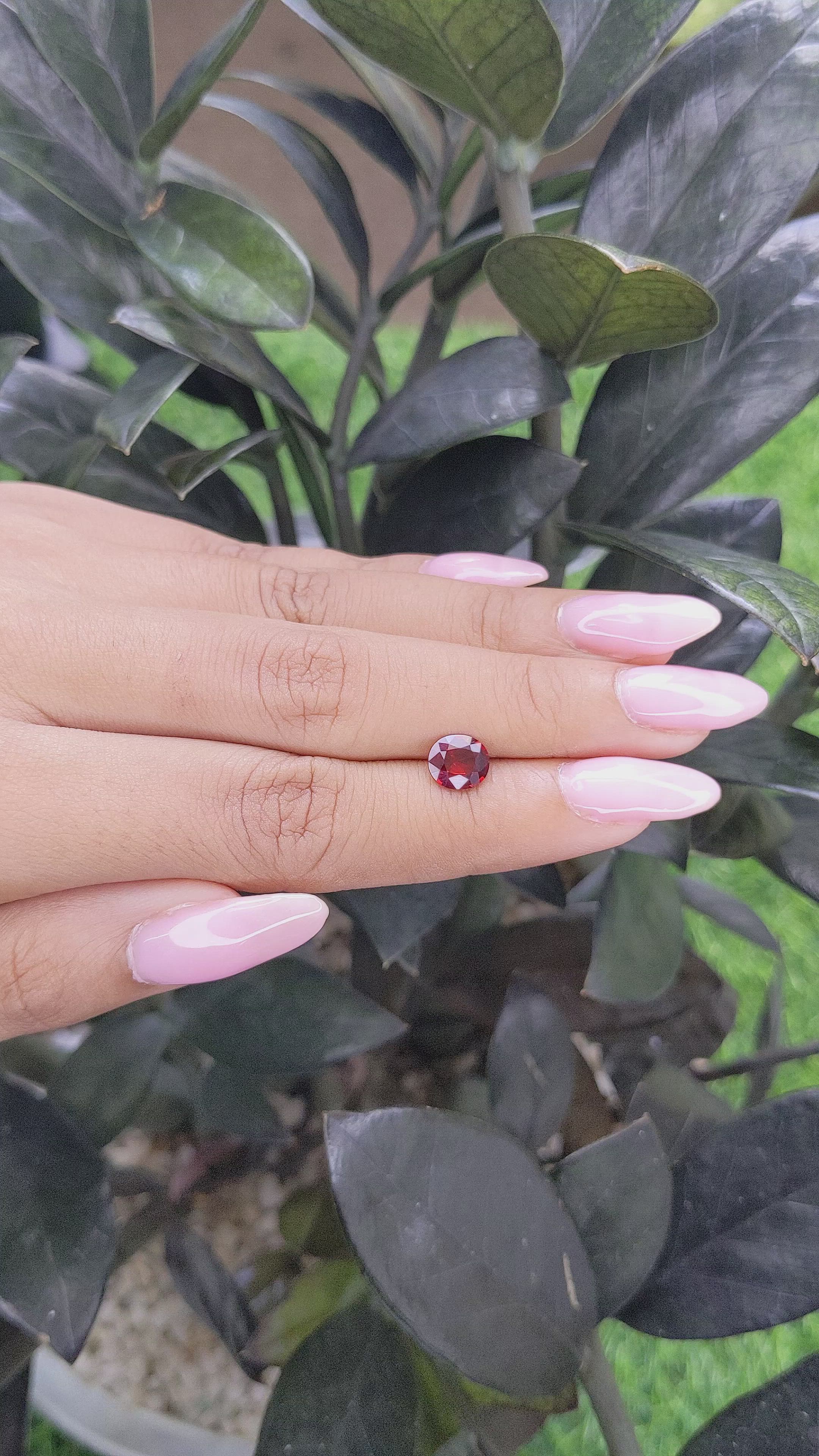 1.15 Ct. Spinel from Burma (Myanmar) Size Video
