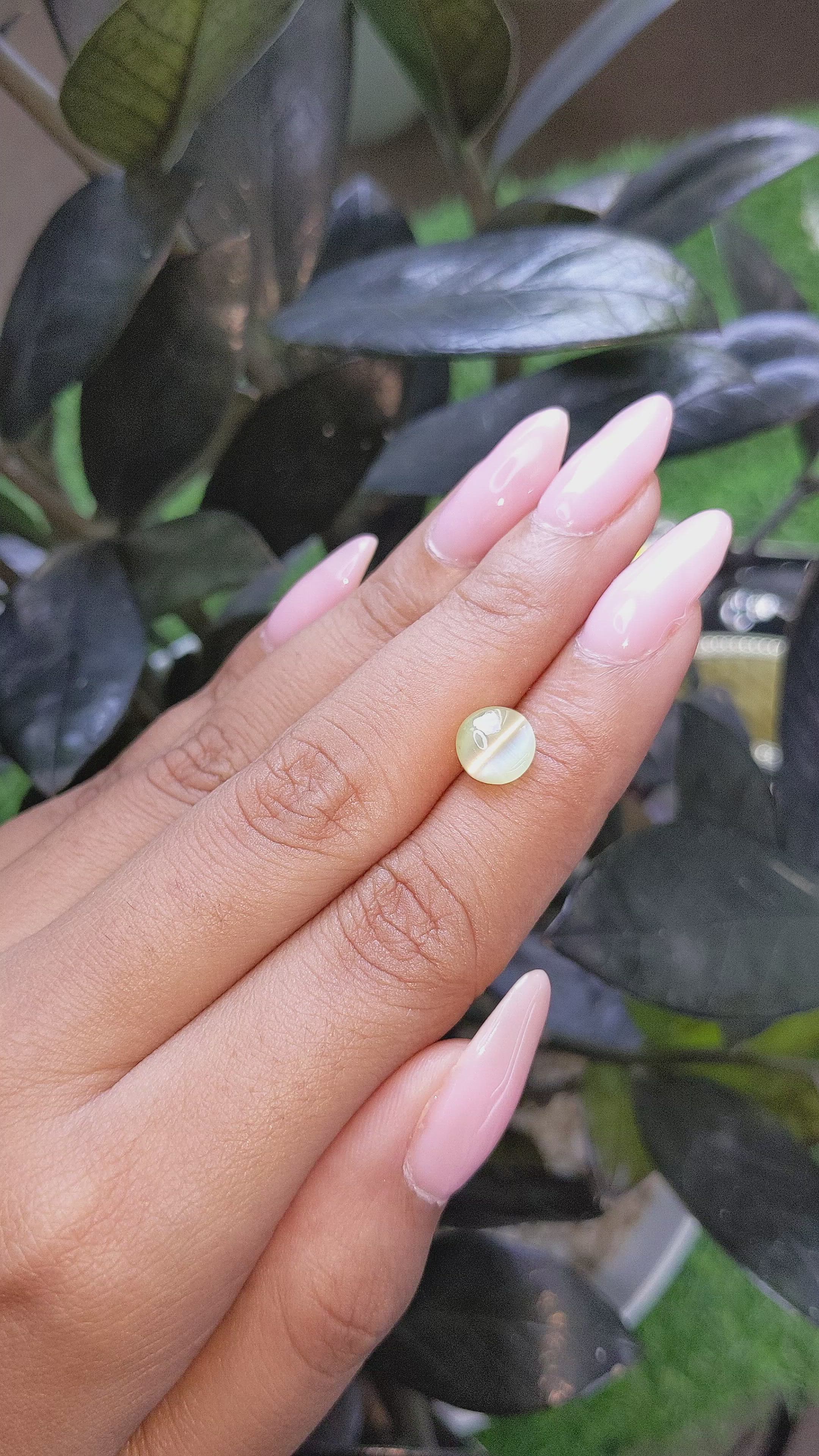 2.63 Ct. Cabochon Chrysoberyl from Ceylon (Sri Lanka) Size Video
