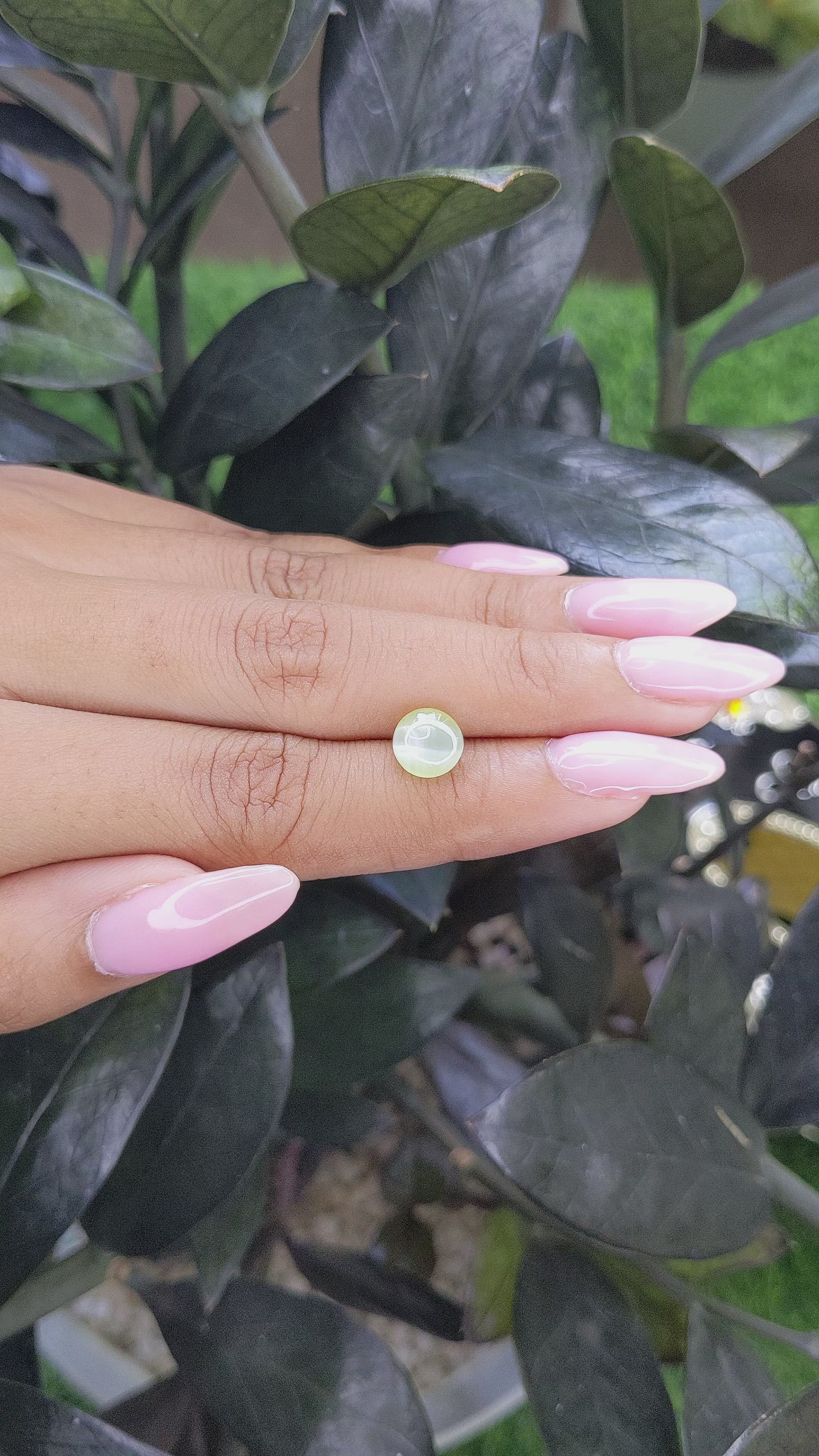 2.63 Ct. Cabochon Chrysoberyl from Ceylon (Sri Lanka) Size Video