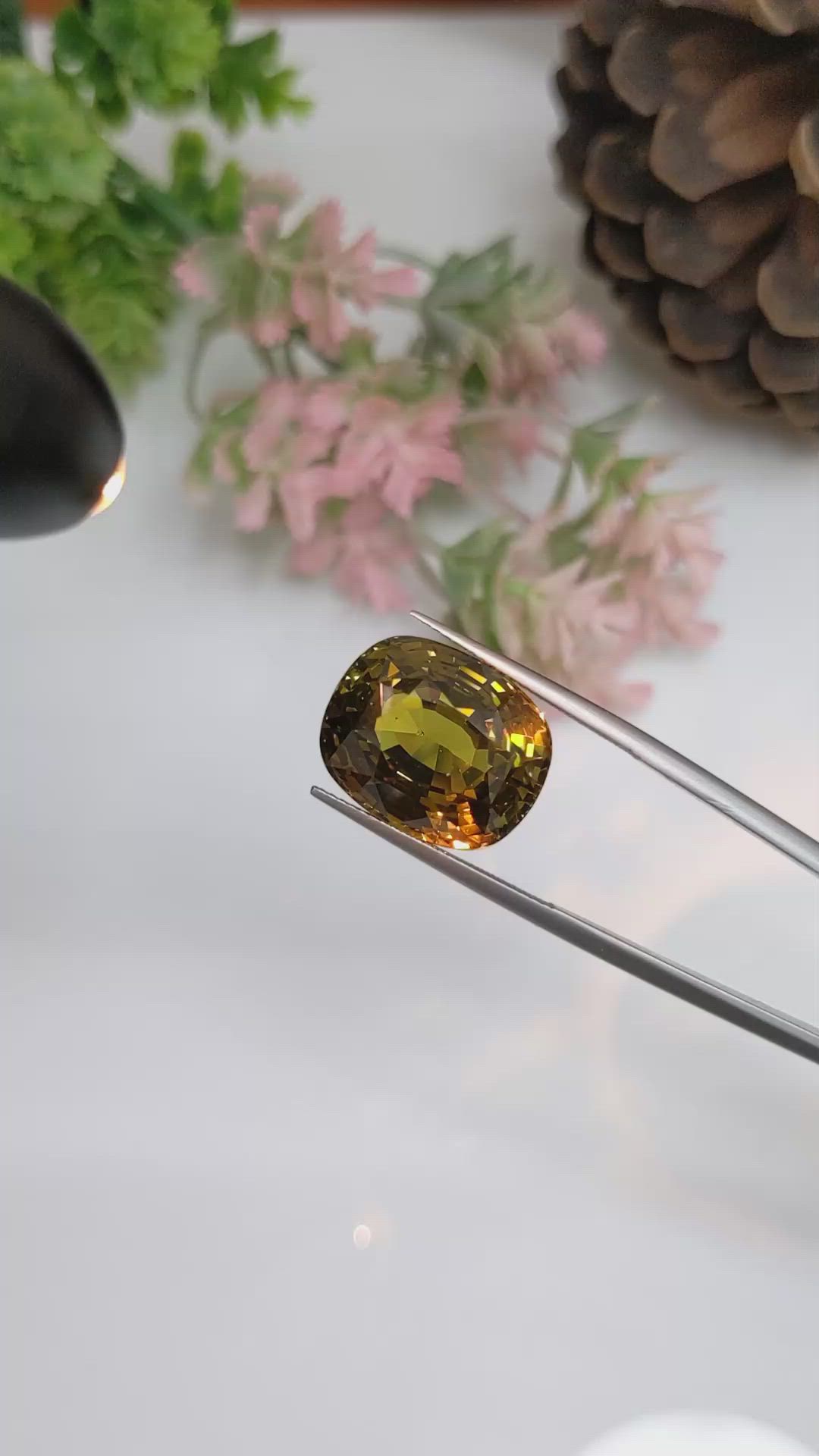 24.05 Ct. Alexandrite from Ceylon (Sri Lanka) Size Video