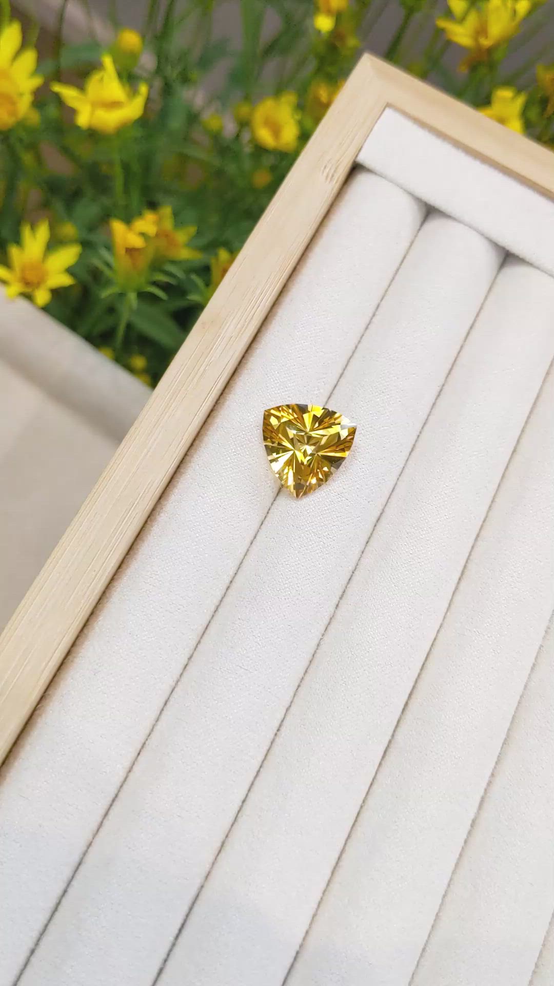 8.44 Ct. Citrine from Brazil Size Video