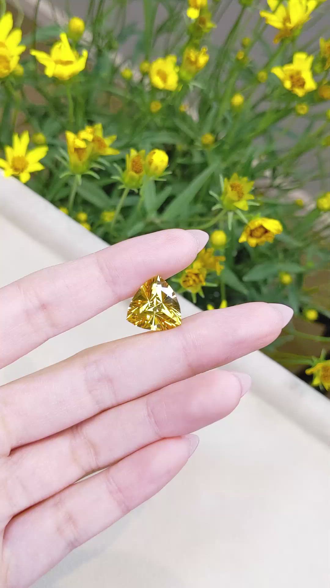 8.44 Ct. Citrine from Brazil Size Video