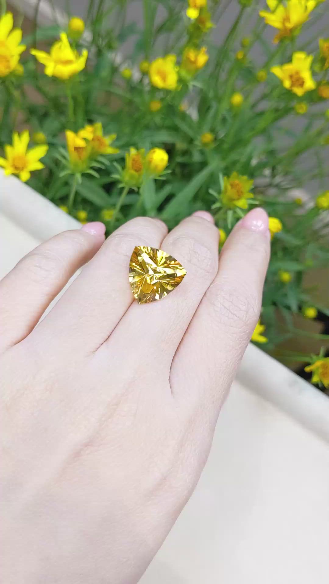 8.44 Ct. Citrine from Brazil Size Video