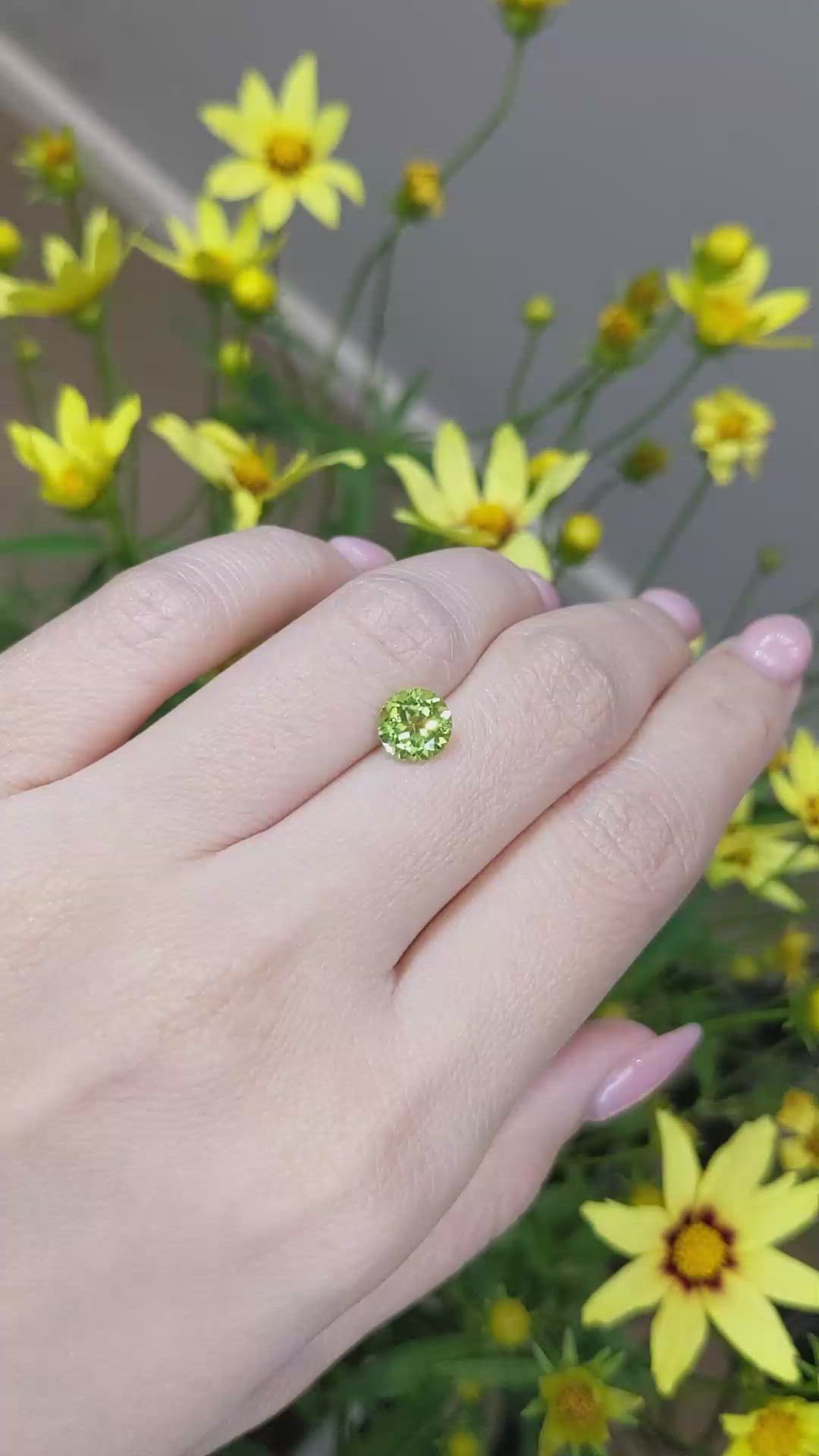 1.44 Ct. Peridot from Burma (Myanmar) Size Video