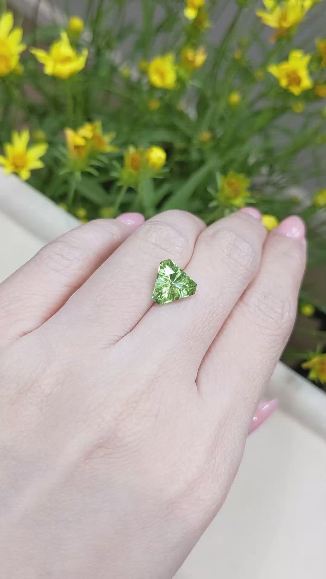 3.01 Ct. Peridot from Pakistan Size Video