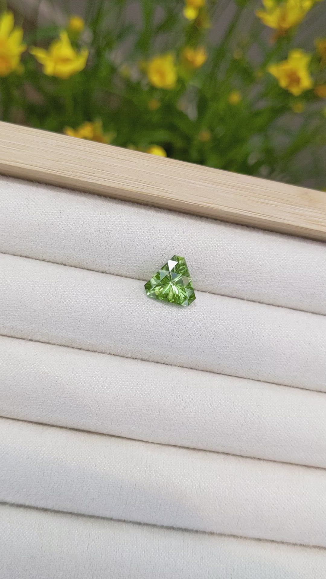 3.01 Ct. Peridot from Pakistan Size Video