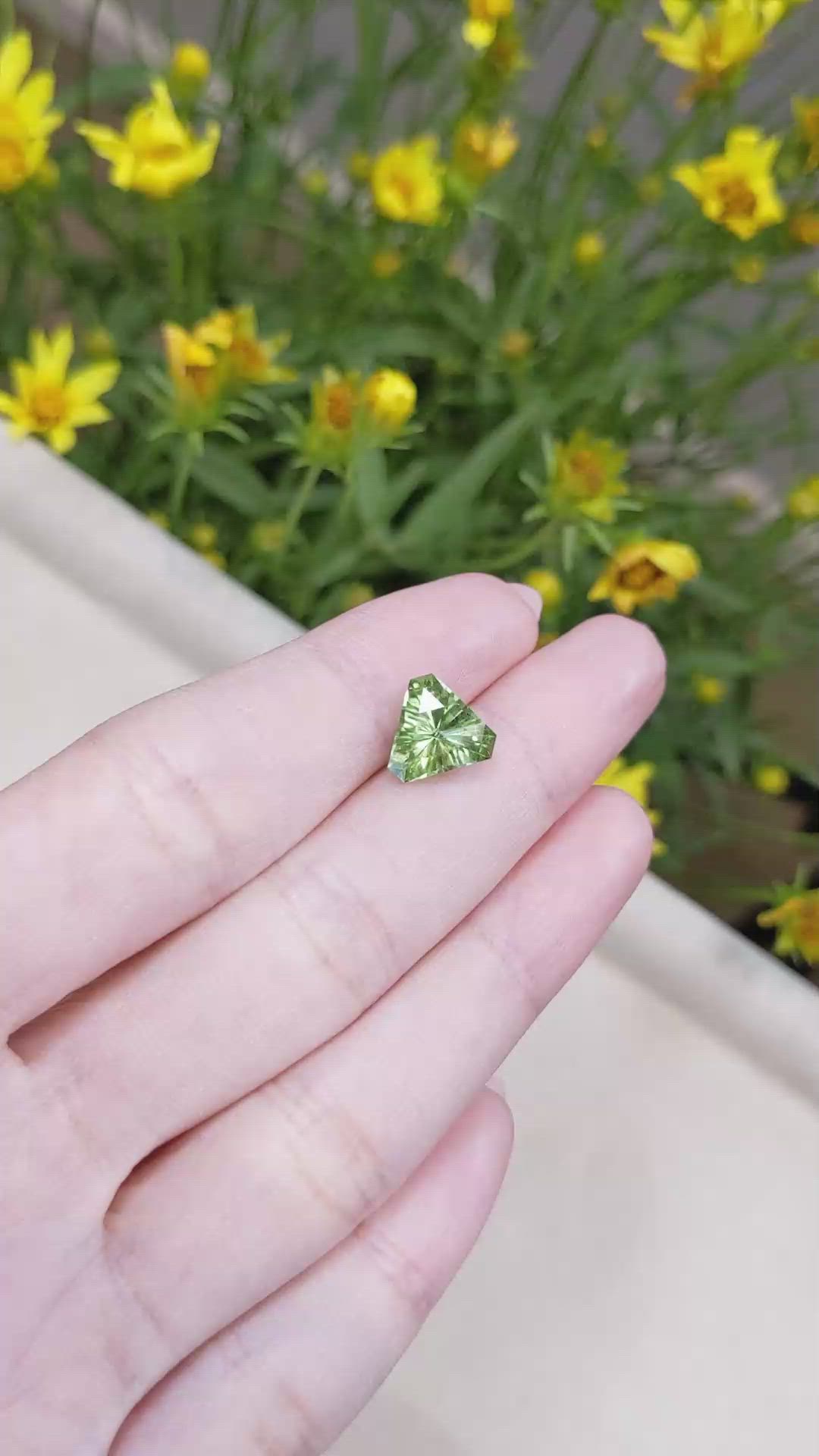 3.01 Ct. Peridot from Pakistan Size Video