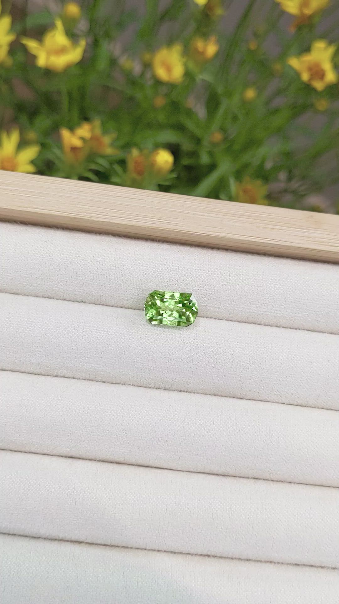3.72 Ct. Peridot from Pakistan Size Video
