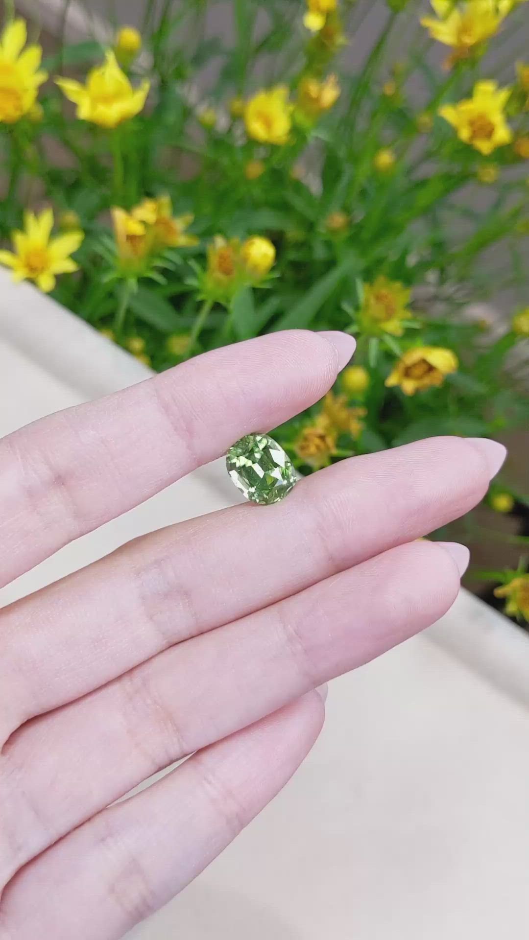 4.13 Ct. Peridot from Pakistan Size Video