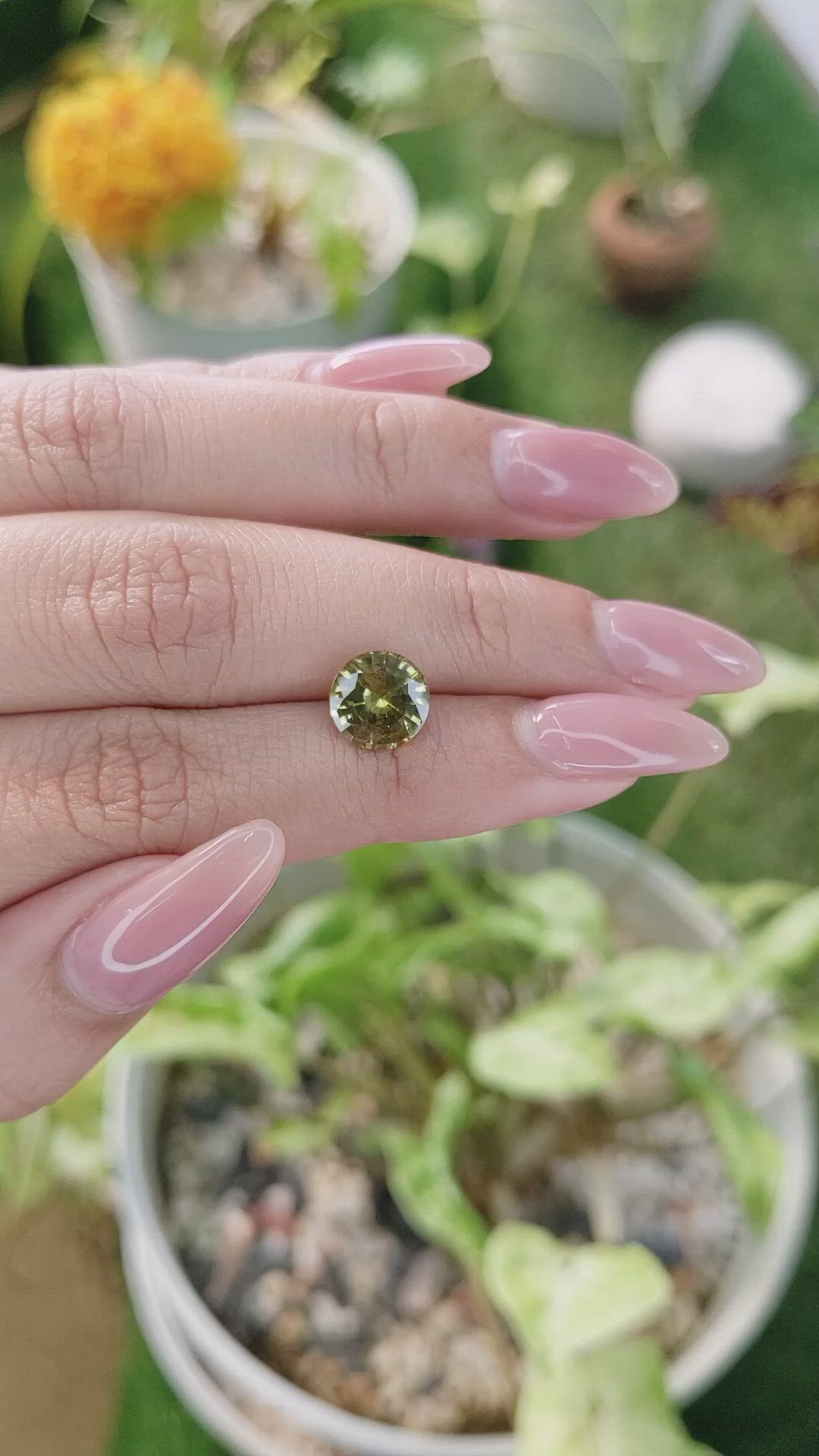 2.62 Ct. Chrysoberyl from Ceylon (Sri Lanka) Size Video