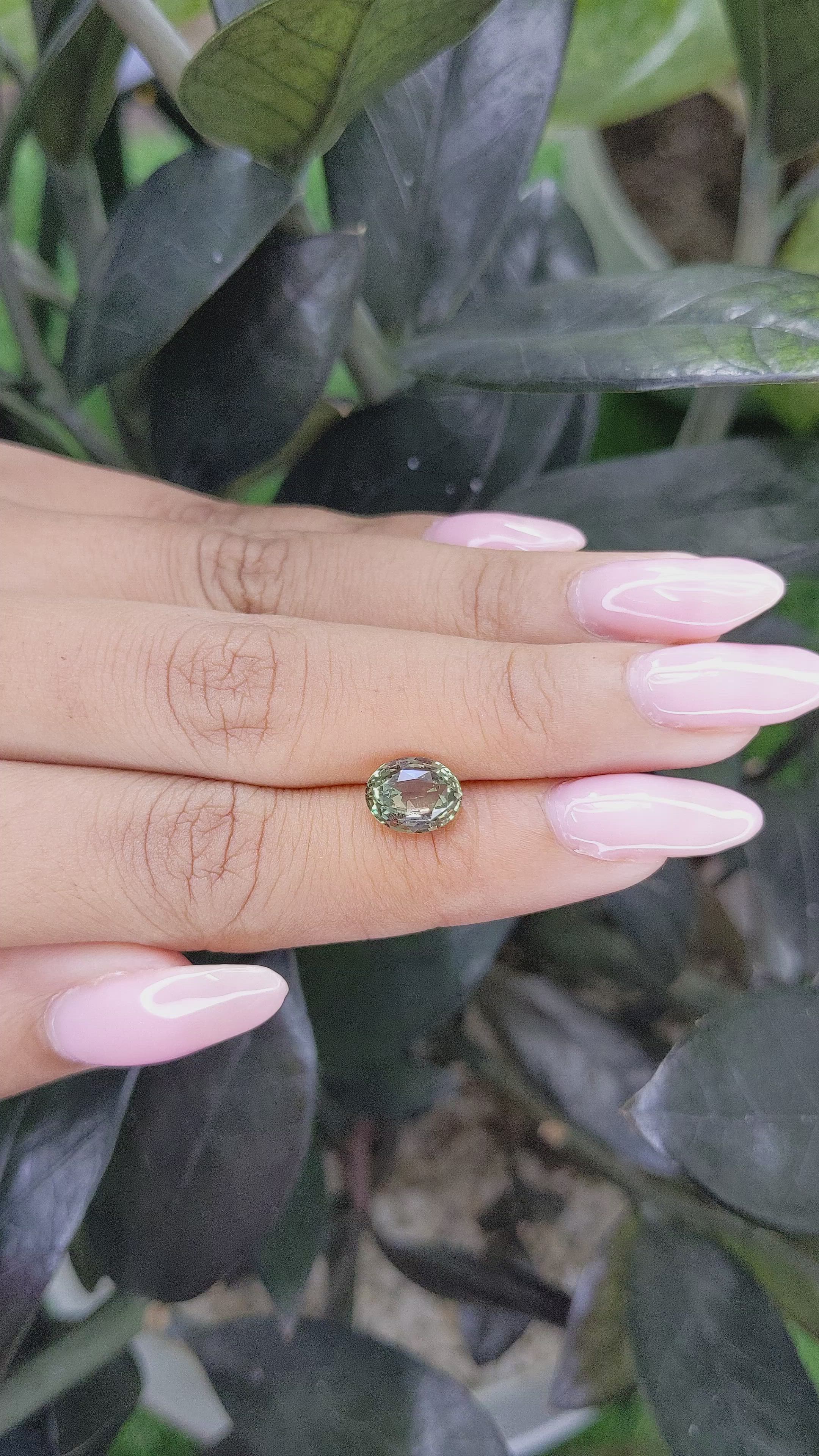 2.53 Ct. Alexandrite from Madagascar Size Video
