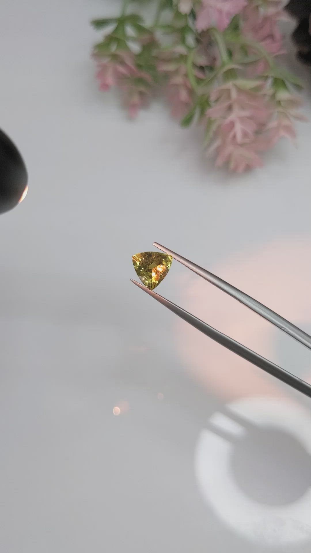 1.34 Ct. Alexandrite from Ceylon (Sri Lanka) Size Video