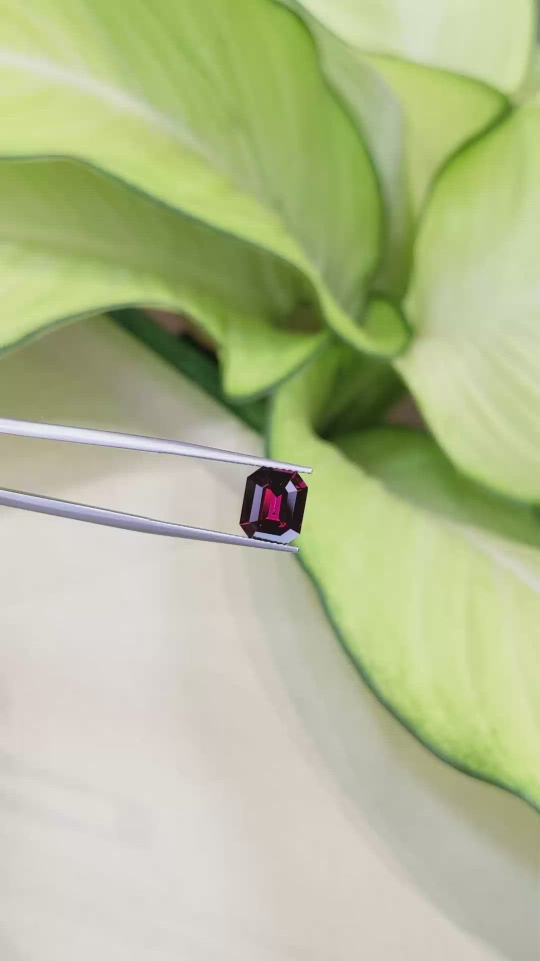 3.30 Ct. Garnet from Ceylon (Sri Lanka) Size Video