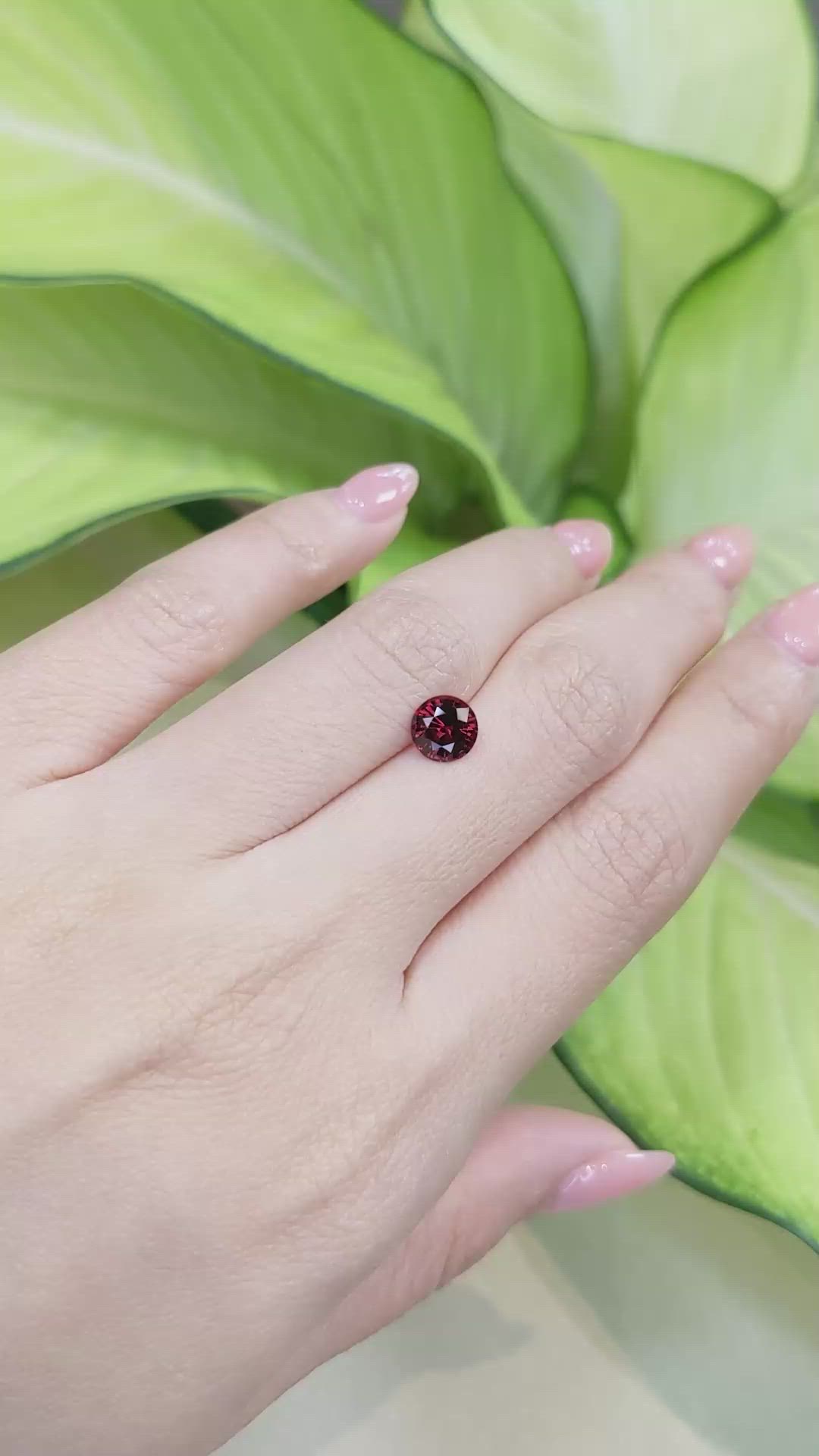 1.34 Ct. Garnet from Ceylon (Sri Lanka) Size Video