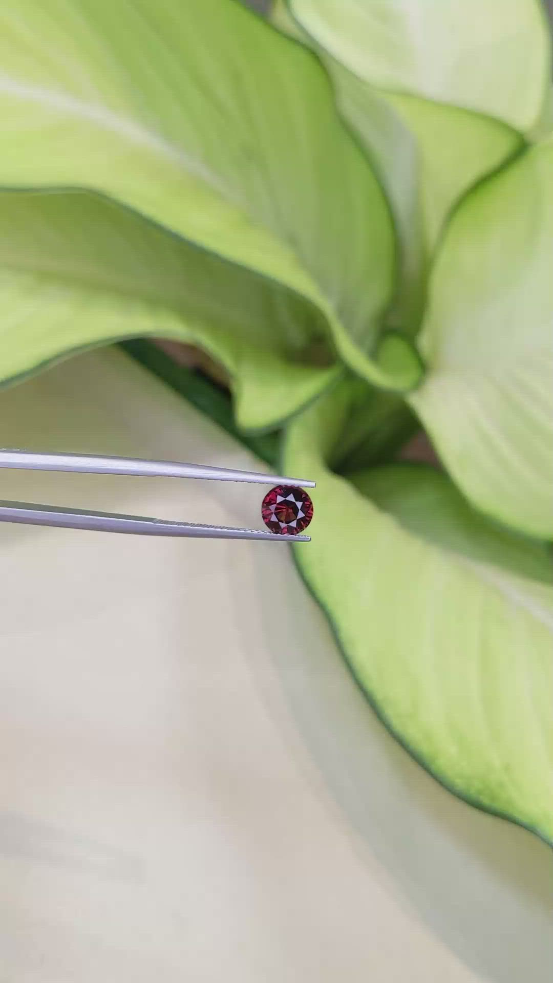 1.34 Ct. Garnet from Ceylon (Sri Lanka) Size Video