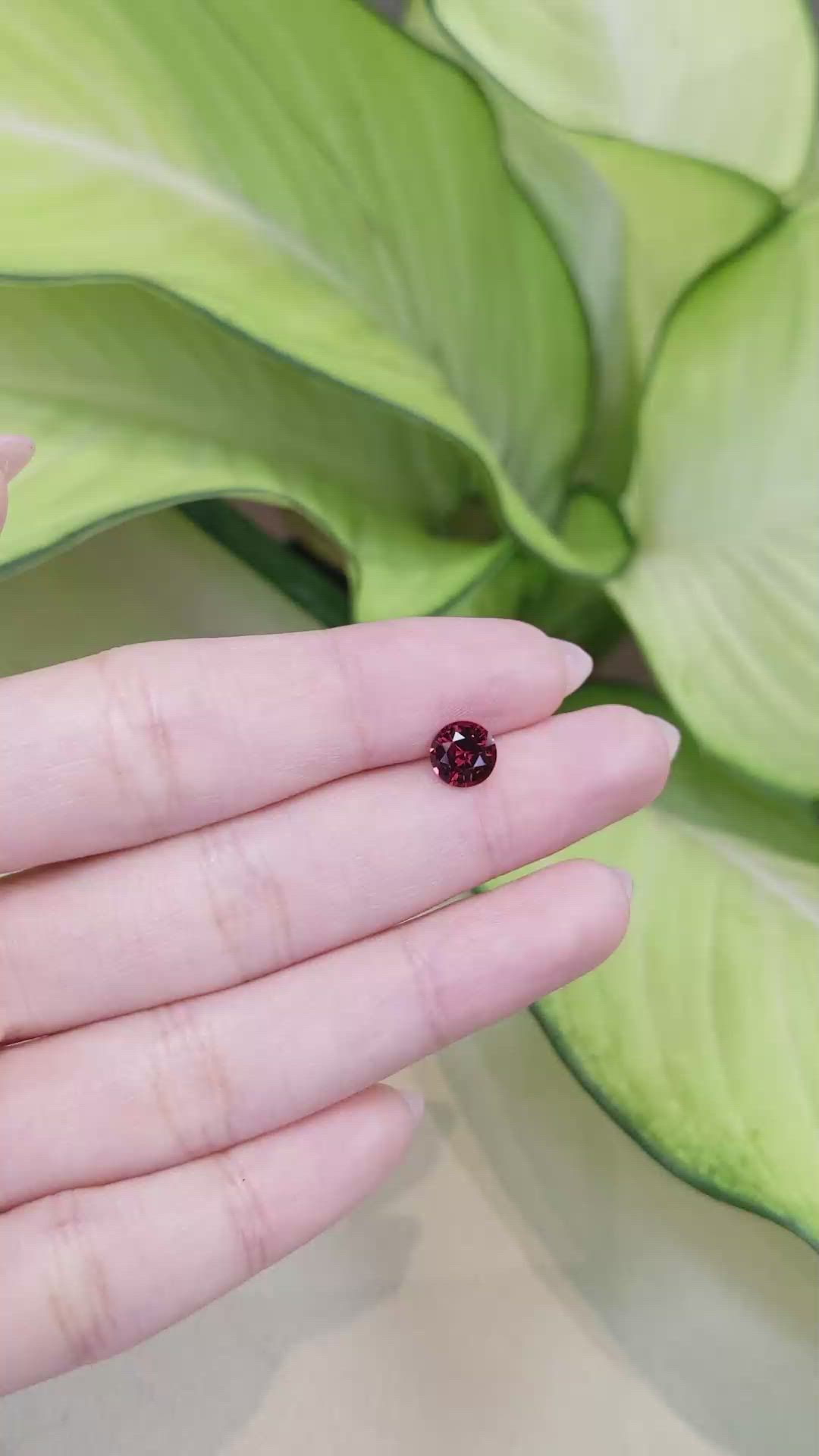 1.34 Ct. Garnet from Ceylon (Sri Lanka) Size Video