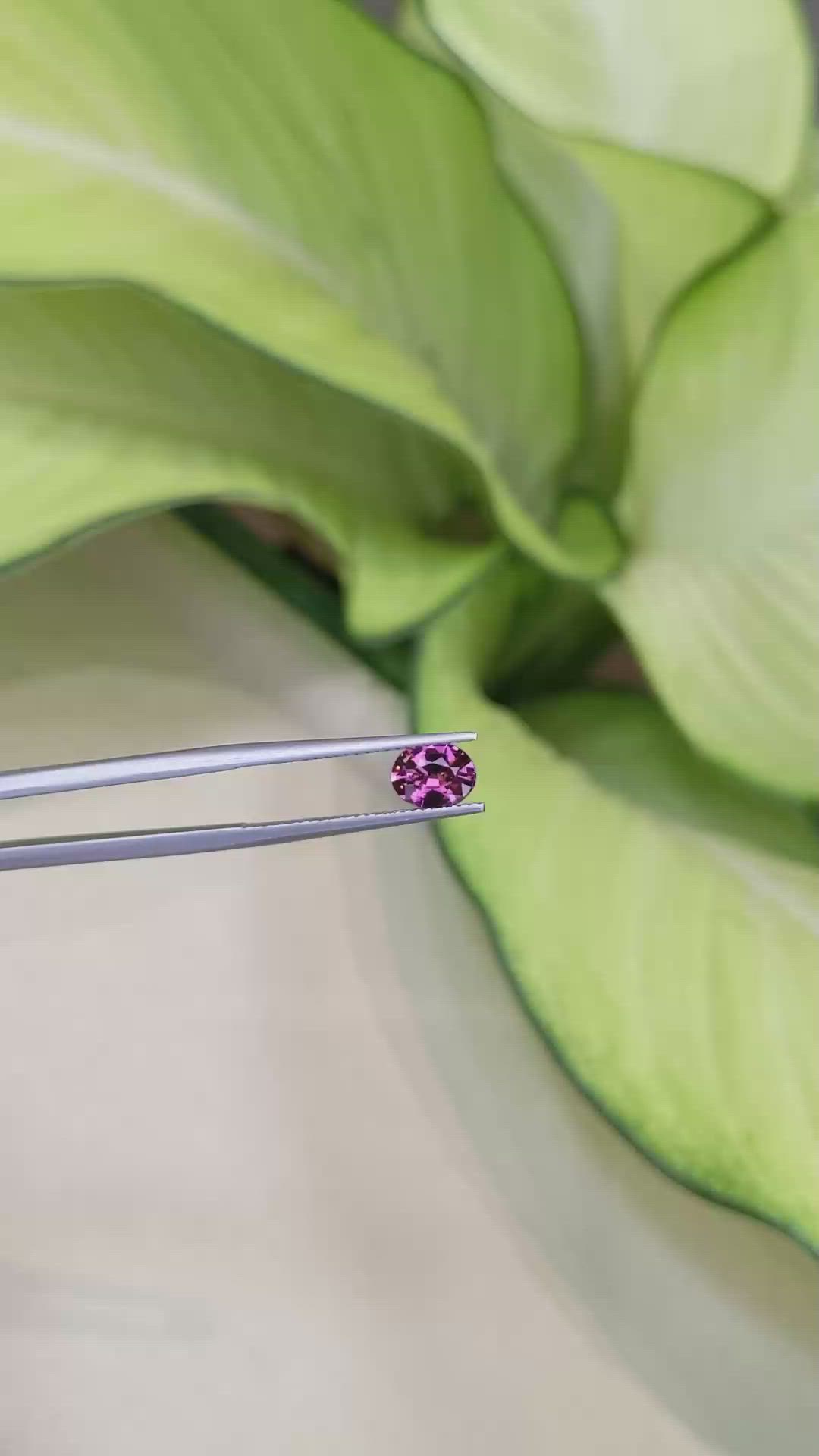 1.04 Ct. Garnet from Ceylon (Sri Lanka) Size Video