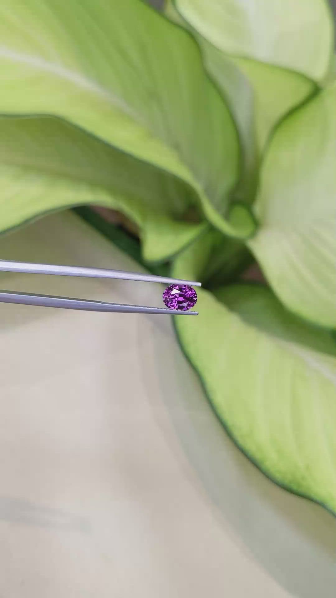 1.41 Ct. Garnet from Ceylon (Sri Lanka) Size Video