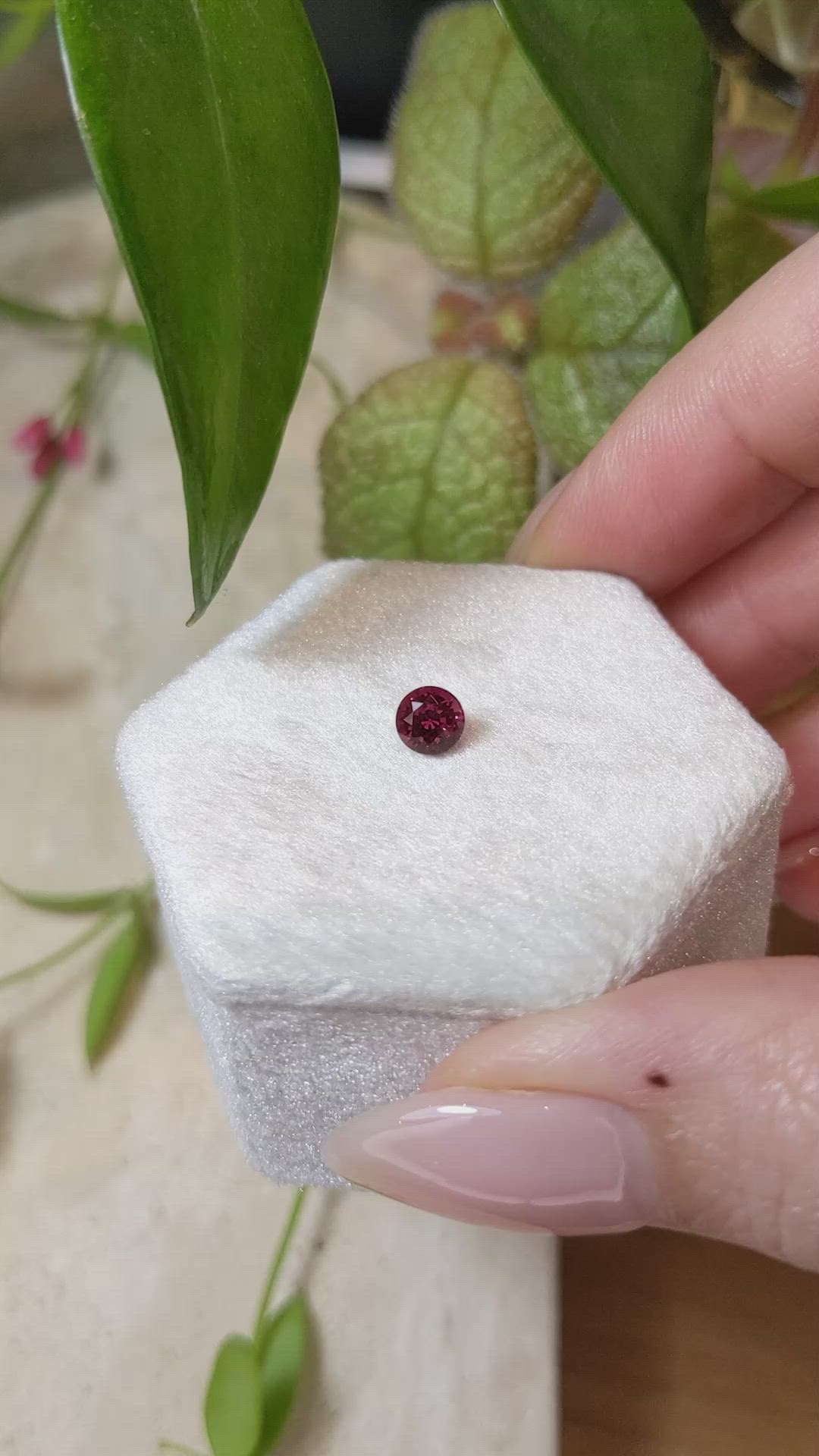 0.76 Ct. Garnet from Ceylon (Sri Lanka) Size Video