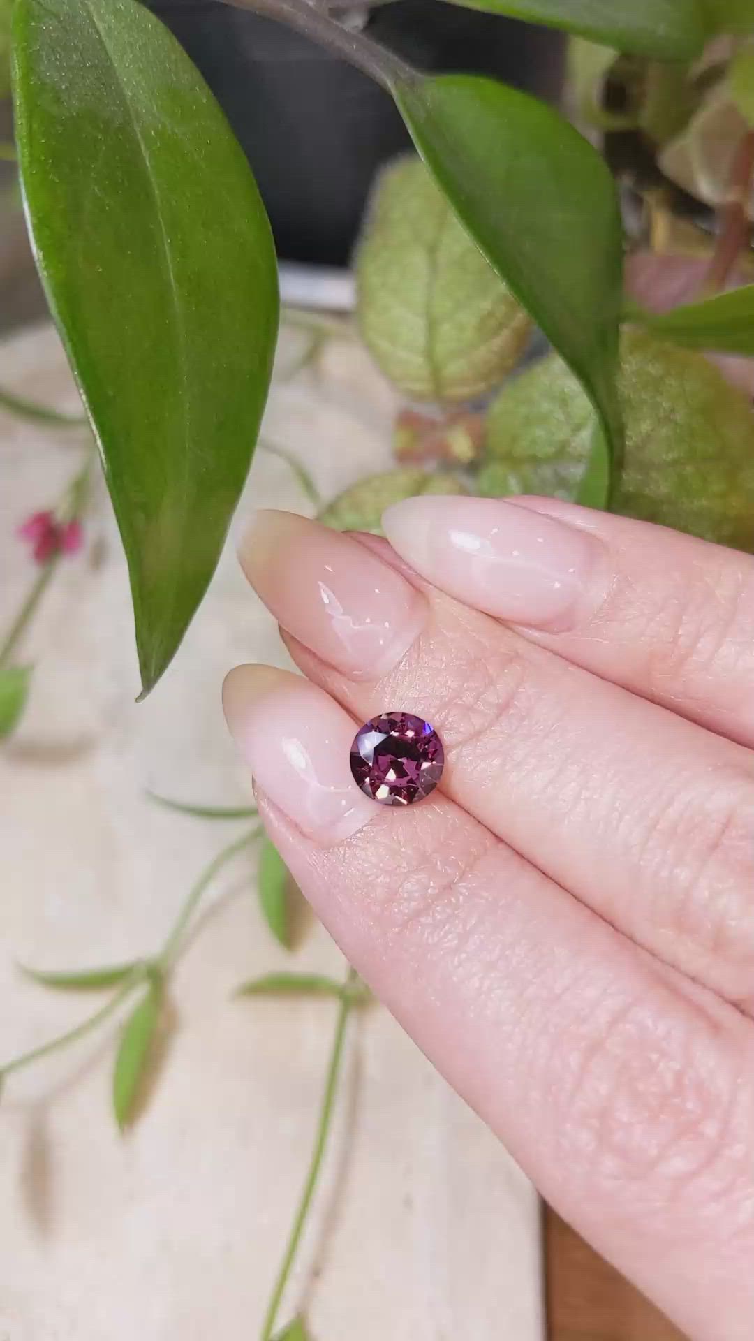 1.83 Ct. Spinel from Ceylon (Sri Lanka) Size Video