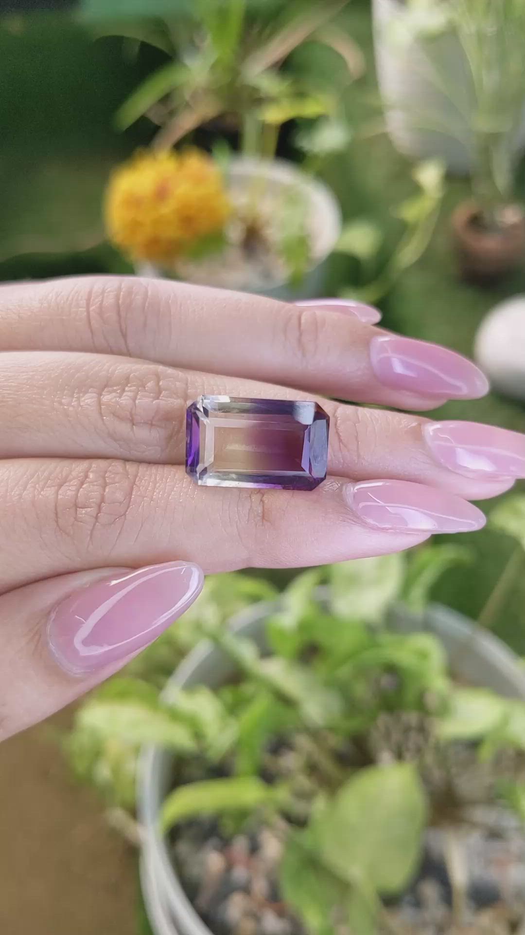 12.02 Ct. Ametrine from Madagascar Size Video