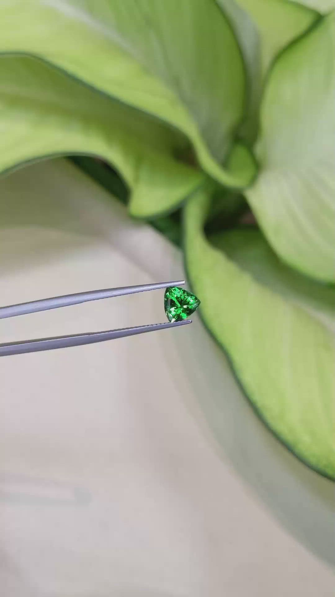 1.30 Ct. Tsavorite Garnet from Tanzania Size Video